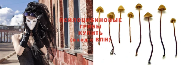 дмт Карпинск