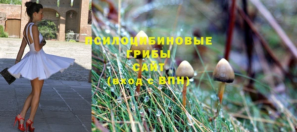таблы Каменногорск