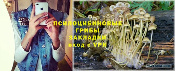 дмт Карпинск