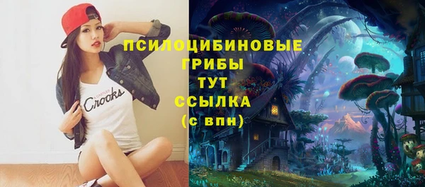 ECSTASY Каменск-Шахтинский