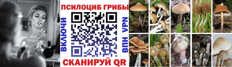 Псилоцибиновые грибы мухоморы  Купить  Бологое 